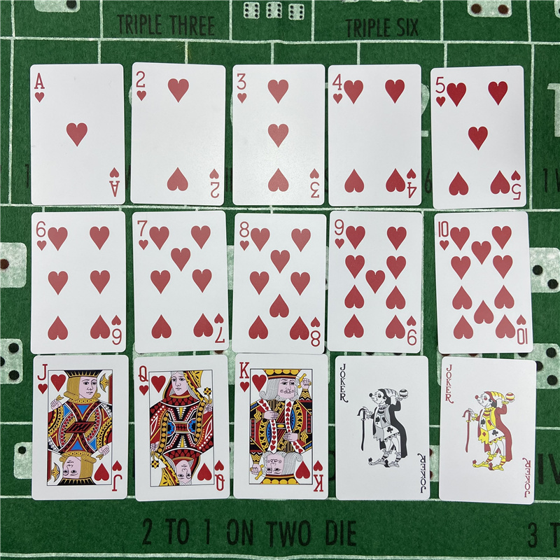 New 2pcs Playing Cards  Plasti – Board Game Yearbook Bewertung und Preis