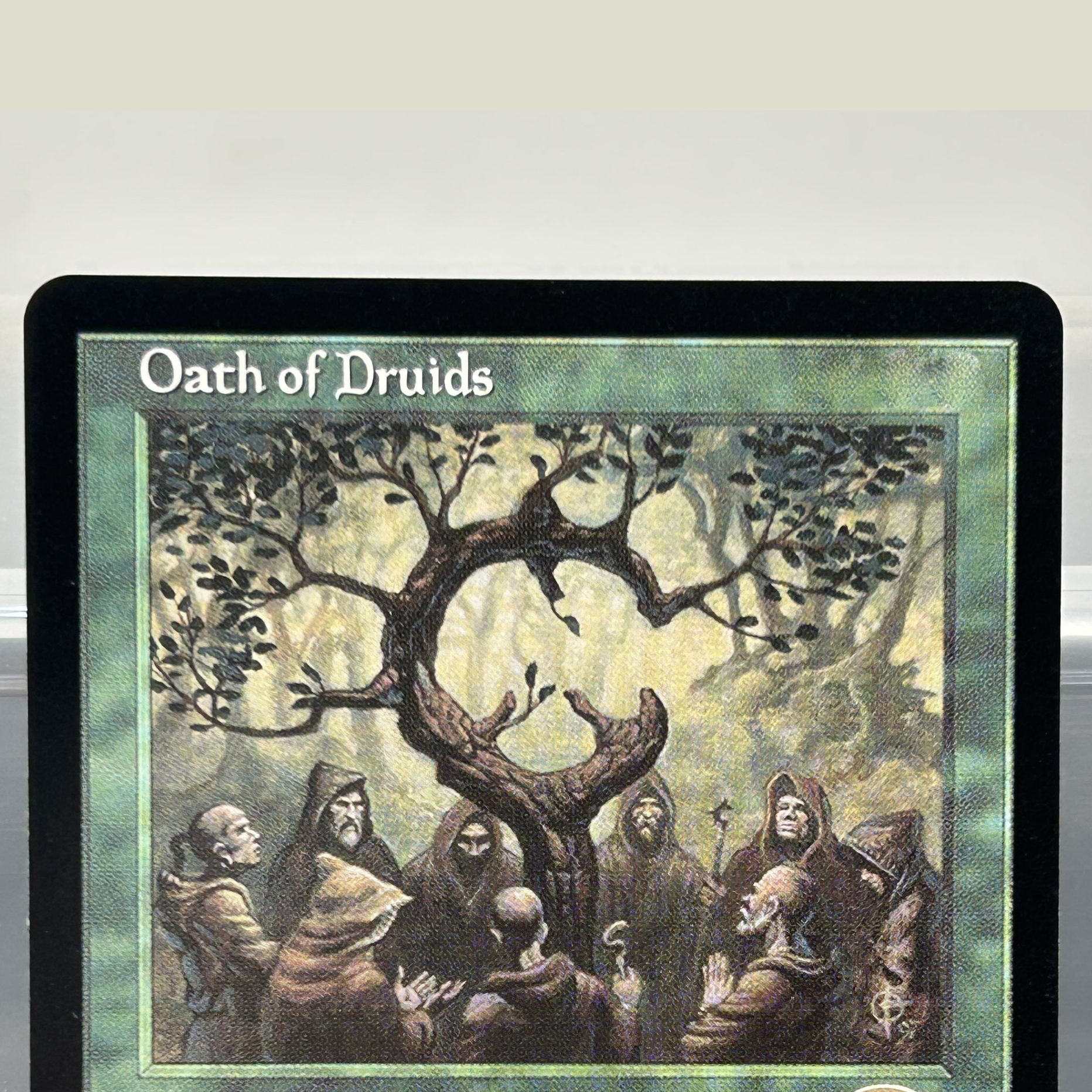 City of Traitors Oath of Druid – Board Game Oath Bewertung und Preis